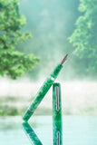 Nahvalur Schuylkill Betta Mint Fountain Pen