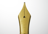 Platinum #3776 Century Ver. 2.0 Fountain Pen - Demonstrator (Limited Edition)