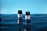 Nahvalur Explorer Atlantic Blue - 20 mL Bottled Ink