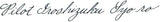 Pilot Iroshizuku Syo-Ro (Dew on Pine Tree) 50ml Bottled Ink
