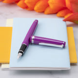 Pilot Falcon Fountain Pen - Purple