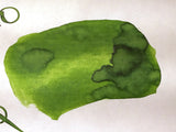 Robert Oster Verde de Rio Ink (50ml Bottle)